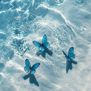 Telegram profile photo for Blue heart||قلب ازرق💙