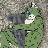 Telegram profile photo for Kado's shiver 🦈