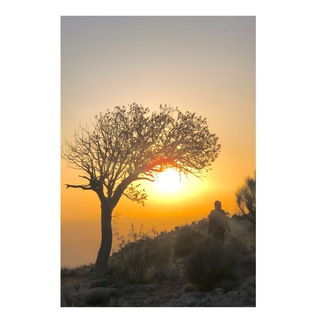Telegram profile photo for ﮼مَستی
