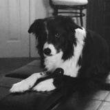 Telegram profile photo for 🌫Darcy's Basement🐩