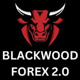 Telegram profile photo for Blackwood forex