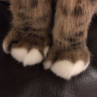 Telegram profile photo for ︎
