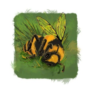 Telegram profile photo for Bee