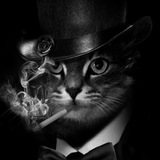 Telegram profile photo for диджей арбуз