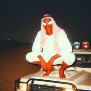 Telegram profile photo for 𝗦𝗽𝗶𝗱𝗲𝗿 𝗯𝗼𝘆 🕸️