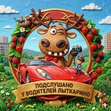 Telegram profile photo for Подслушано у водителей Лыткарино авто