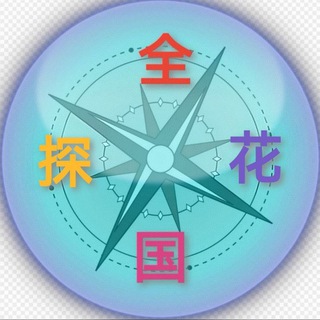 Telegram profile photo for 全国探花(中低高端)外围
