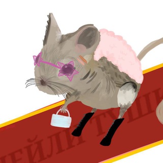 Telegram profile photo for дейли тушканчики🧼