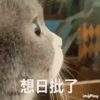 Telegram profile photo for 青年文摘