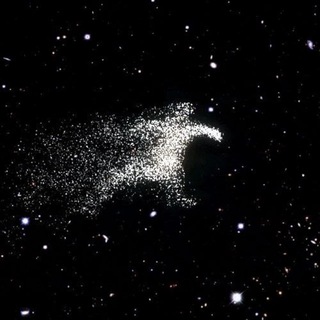 Telegram profile photo for 拜林外卖 拜林生活 拜林导航