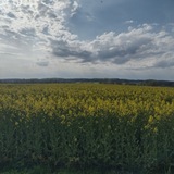 Telegram profile photo for Abendspaziergang Salzhausen