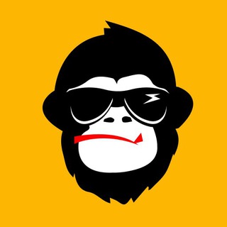 Telegram profile photo for The FlashMonkey