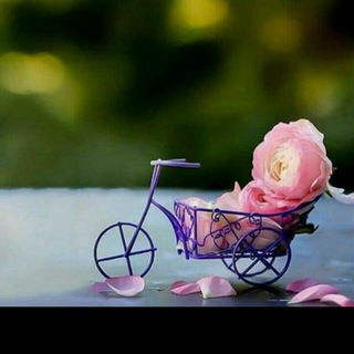 Telegram profile photo for فى رضى الله🌷