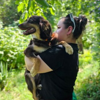 Telegram profile photo for Четыре Лапы 🐕🐈