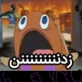 Telegram profile photo for جنگنده یا هواپیما