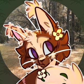 Telegram profile photo for Мырмыр🤯