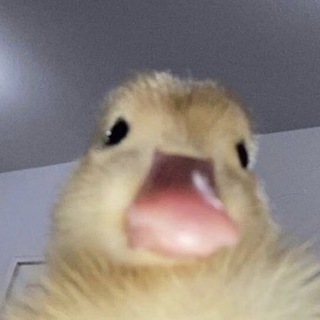 Telegram profile photo for с любовью, маша сопкина