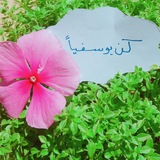 Telegram profile photo for "كن يوسفياً"
