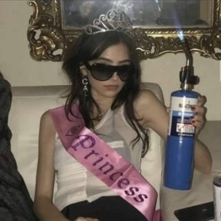 Telegram profile photo for الهولنديه الطائره