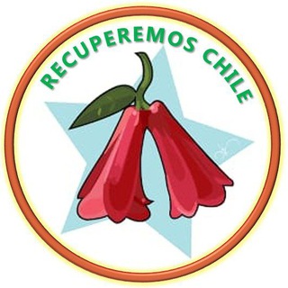 Telegram profile photo for Recuperemos Chile