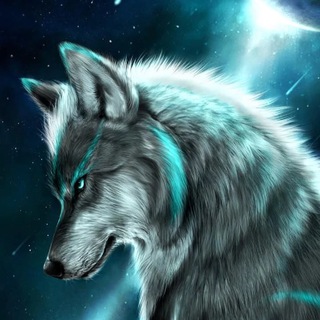 Telegram group profile photo for Wolf Calls Chat🐺