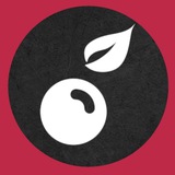 Telegram profile photo for Путь менеджера маркетплейсов | Образовательный проект BRUSNIKA
