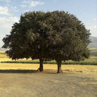 Telegram profile photo for مێژووی گومەتە