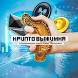 Telegram profile photo for Крипто Выжимка