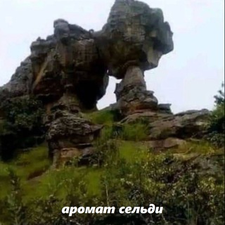 Telegram profile photo for Аромат Сельди