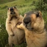 Telegram profile photo for Тяп-Ляп