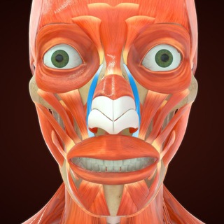 Telegram profile photo for Question meme