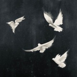 Telegram profile photo for وَرد