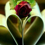 Telegram profile photo for ❤Novel❤