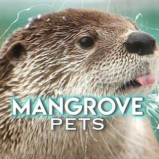 Telegram profile photo for MANGROVE.ᵖᵉᵗˢ