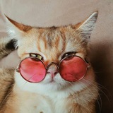 Telegram profile photo for Переходник (Резерв Обои)