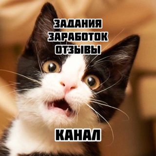 Telegram profile photo for Заработок на заданиях отзывы 🚀