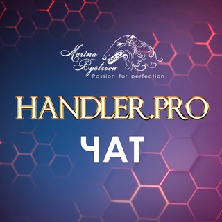 Telegram profile photo for Чат HANDLER.pro 🏆