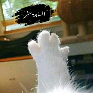 Telegram profile photo for الـــسابعـــة عشـــر .