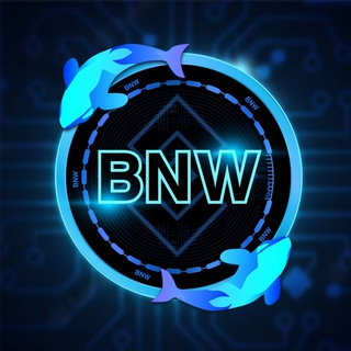Telegram profile photo for BNW CALLS