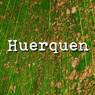 Telegram profile photo for Huerquen Comunicación