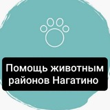 Telegram profile photo for Животные в НАГАТИНО, потеряшки и помощь ЮАО, Нагатинский затон, Нагатино-Садовники (ранее чат Хвостик в беде)