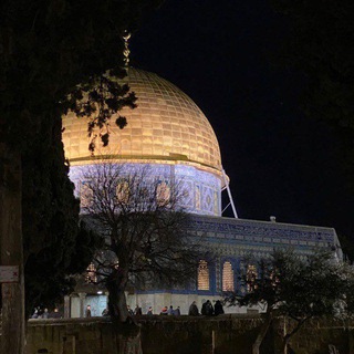 Telegram profile photo for بيت المقدس 🇵🇸📍