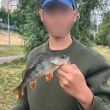 Telegram profile photo for Pixel Fishing