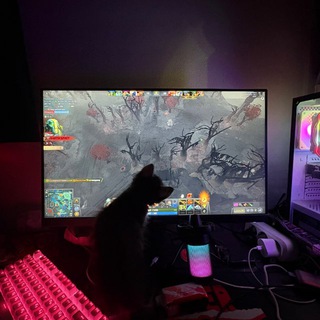 Telegram profile photo for wwq?