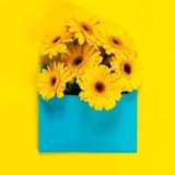 Telegram profile photo for مورفين🌻💛..