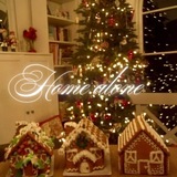 Telegram profile photo for Home Alone
