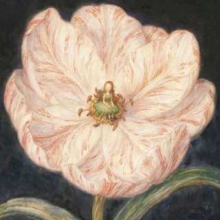 Telegram profile photo for Les Fleurs du mal