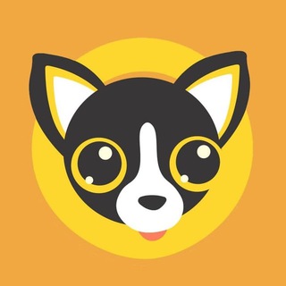 Telegram profile photo for Chihuahua Community Chat