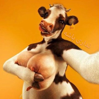 Telegram profile photo for NadariBashe