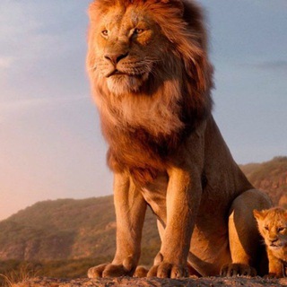 Telegram profile photo for Le Cercle Des Lions 974